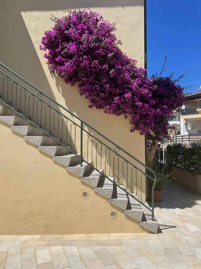 B&B L'Albero Di Melograno Seccheto Exteriör bild